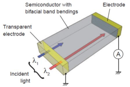 Schematic illustration of the device structure of a solid-state wavelength-dependent bipolar photodetector
