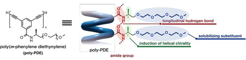 olecular design for helical poly-PDE bearing chiral amide side chains