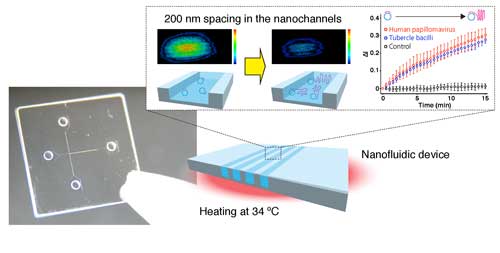 A photo and a schematic illustration for a nanofluidic diffraction grating