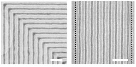 Scanning electron micrographs of block copolymer films assembled on graphene/germanium chemical patterns with 90 degree bends