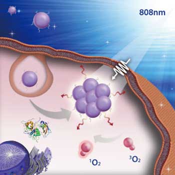 nanoparticles accumulating into a tumor
