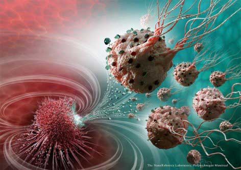 Illustration showing magnetic bacteria delivering drugs to a tumor