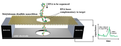 Motion Sensing DNA Sequencer