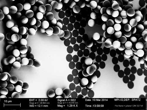 Electron microscope image of nanoscale Janus particles