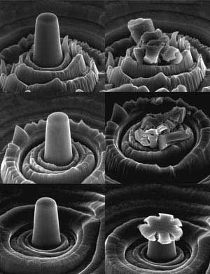 Scanning electron microscope images show pristine (left) and compressed (right) micropillars of (top) chromium nitride, (middle) chromium aluminum nitride, and (bottom) chromium aluminum nitride / silicon nitride nanocomposite