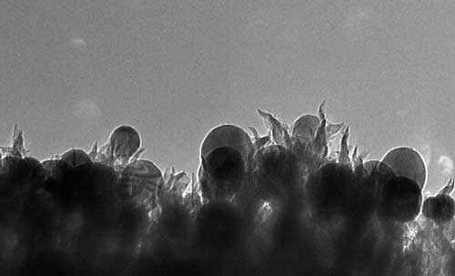 copper nanoparticles (seen as spheres) embedded in carbon nanospikes