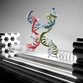 Nanoclamp made of DNA strands