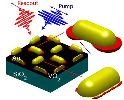 gold antennas on vanadium dioxide thin-film, with antenna-assisted phase transition (red)