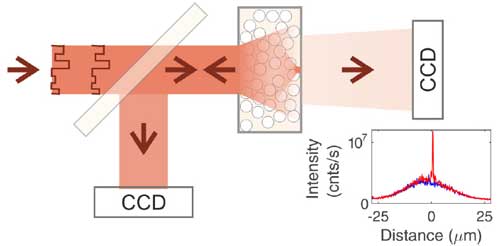 Controlling the intensity of light in large areas at the interfaces of a scattering medium