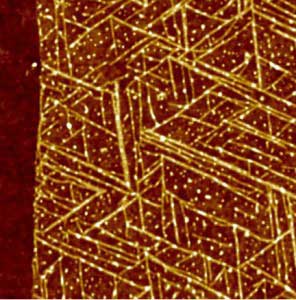 A top view of GrBP5 nanowires on a 2-D surface of graphene