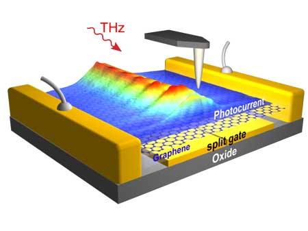 THz photocurrent nanoscopy of graphene plasmons in a split-gate photodetector