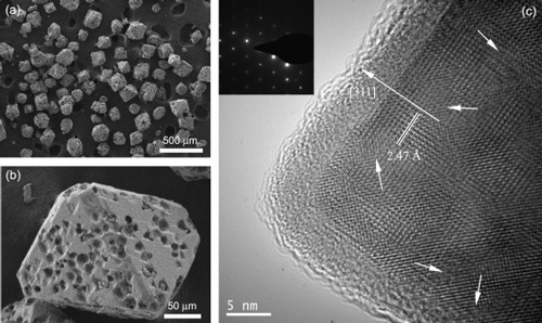 Electron micrographs of tiny superparamagnetic crystals of magnetite at different resolutions