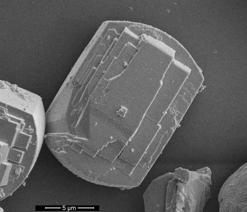 A scanning electron microscopy image showing a zeolite catalyst particle