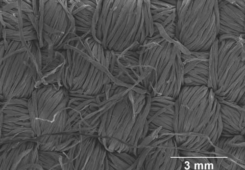 Electron microscopy image of a conductive graphene/cotton fabric