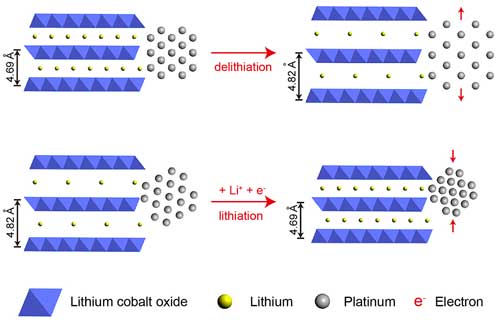 Platinum atoms attached to layers of lithium cobalt oxide contract when electricity is applied