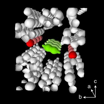Trapped Gas in the Nanospace of MOF/PCP