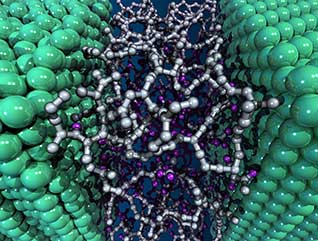 Molecular dynamics simulations unravel the catalytic creation mechanism of anti-wear carbon films as they occur from oils