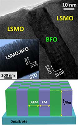 Cross-sectional transmission electron microscopy (TEM) image of vertically aligned La 0.75 Ba 0.25 MnO3 (LSMO) film showing a BiFeO3 (BFO) pillar embedded in the LSMO matrix