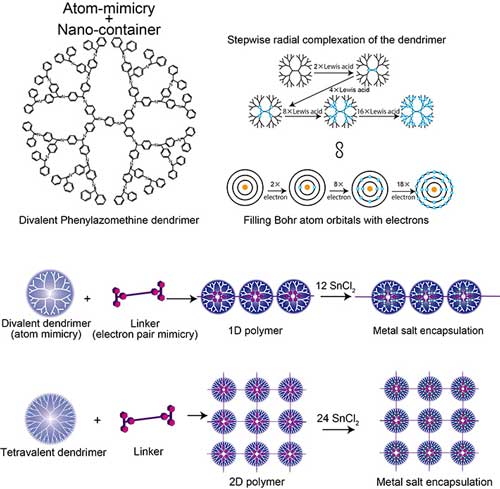 Structure of Divalent Phenylazomenthine dendrimer, Comparison of the DPA and Bohr atom model, and 1D/2D supramolecular polymer