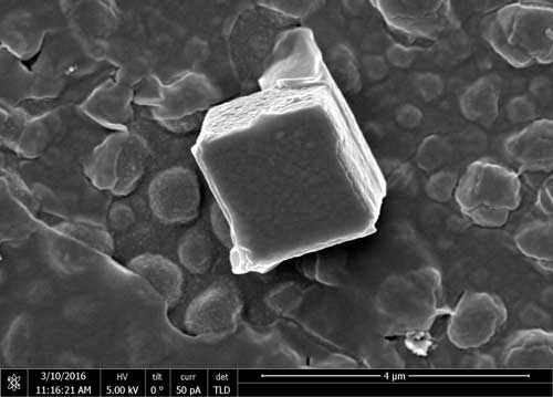 microscopic cubes of cement