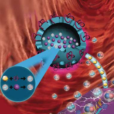 Nanomedical treatment concept combines NO gas therapy with starvation of tumor cell