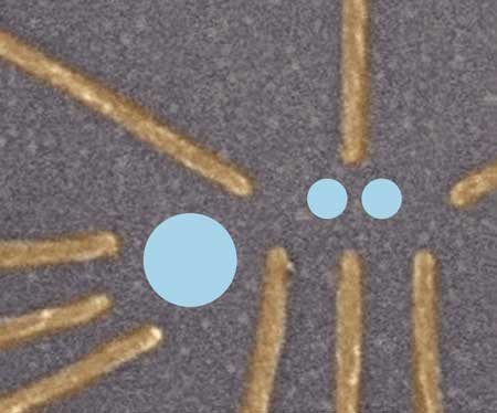 Electrons trapped between metal contacts on silicon offer a scalable qubit