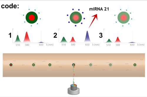 spectral-encoded microgels and microfluidic device for multiplex fluorescence detection of microRNA
