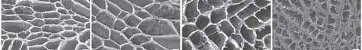 Artificial scaffolds with pores for cellular growth