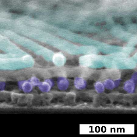 scanning electron microscope (SEM) image showcases discrete, self-assembled layers within nanostructures