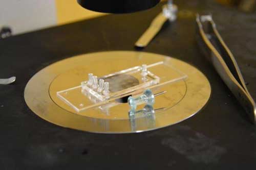 microfluidic platform device