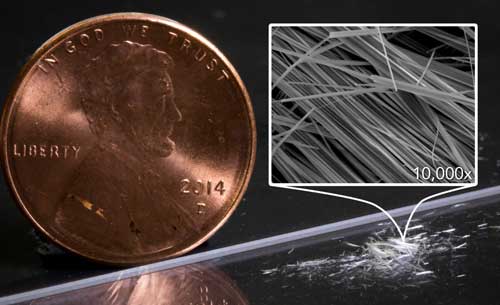 Fuzzy white clusters of nanowires on a lab bench, with a penny for scale
