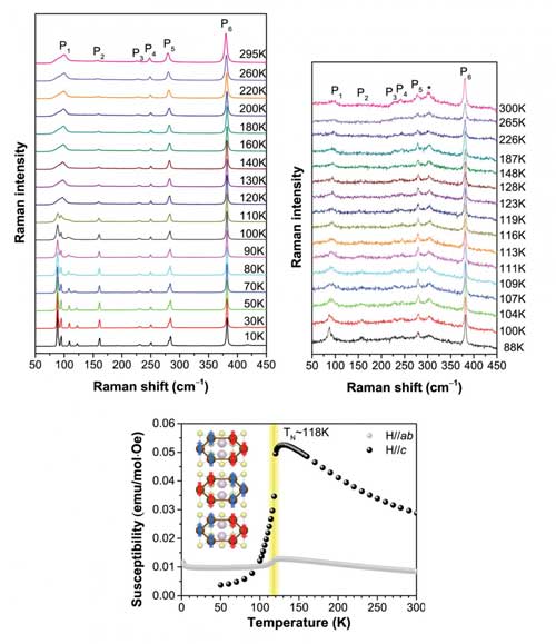 Raman Spectroscopy Results