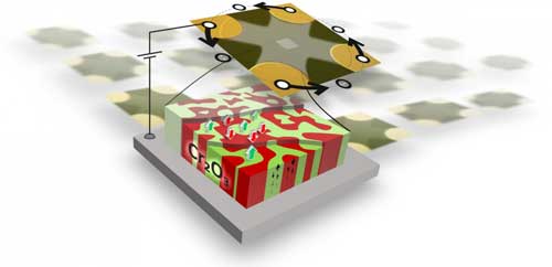 The Prototype of An Antiferromagnetic Magnetoelectric Memory Chip