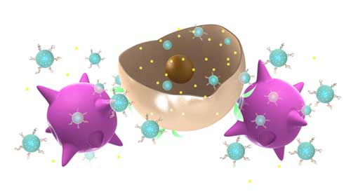 nanoparticle-carrying immune cells that target tumors