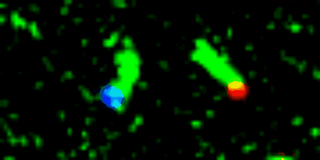 Time-lapse movie showing the formation of a DNA nanotube bridge (green) between two molecular landmarks (red and blue) that are separated by 6 microns
