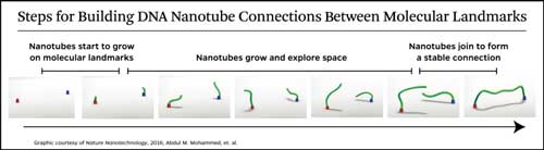 Steps for building DNA nanotube connections between molecular landmarks