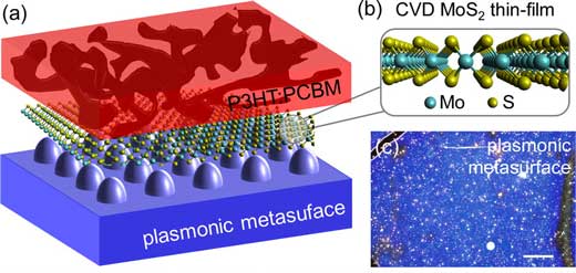 This figure depicts the organic semiconductor, in this case P3HT:PCBM in red, with a 2D MoS2 layer on a silver plasmonic metasurface
