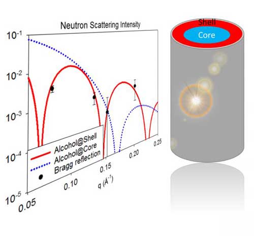 Core-Shell Structure Formed by a Binary Fluid within a Nanocapillary