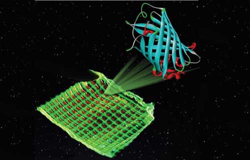 Image of a color filter with green and red luminescent proteins printed on a microgrid structure