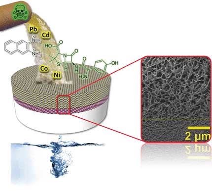 Decontamination of water with a robust and sustainable membrane assembled from two synergistically working components