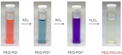 PEG-PDI, which incorporates a compound long used as a red dye, changes to greenish-blue with the addition of potassium superoxide as it converts the superoxide to dioxygen