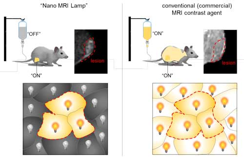 Differences between Nano MRI Lamp and the conventional MRI contrast agent