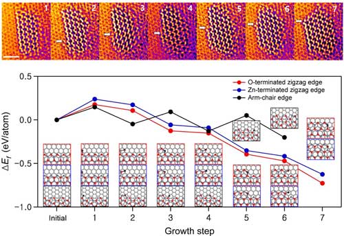 lateral growth of the ZnO monolayer along zigzag edges