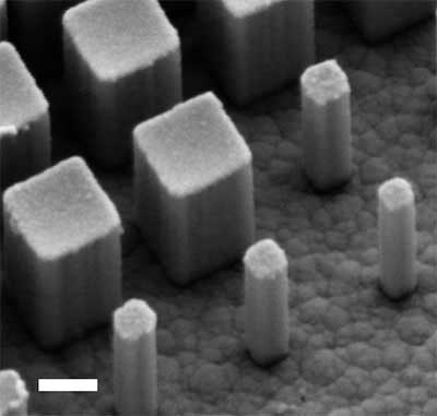 A scanning electron microscope image shows a side-view of a metalens