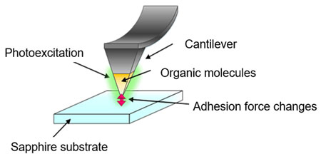 Measurement of friction force between molecules and a substrate while the molecules are being irradiated by laser light