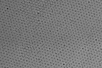 transmission electron micrograph of nanoparticles