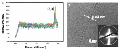 Dominance of the Semiconducting (8, 4) CNTs When Tungsten Carbide (WC) is used as Catalyst