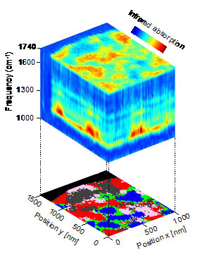 Nanoscale-resolved hyperspectral infrared data cube of a polymer blend
