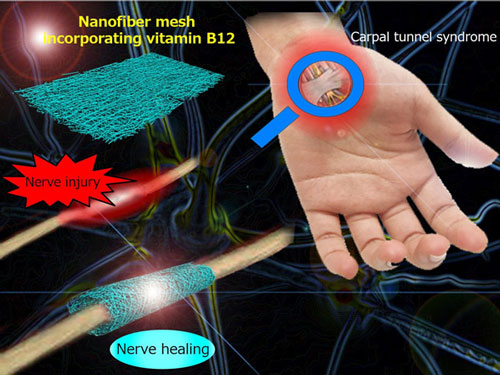 Conceptual diagram showing a nanofiber mesh incorporating vitamin B12 and its application to treat a peripheral nerve injury