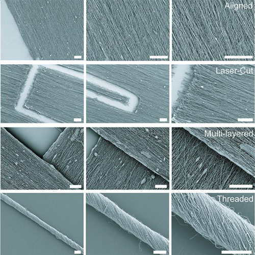 scanning electron microscopy images of various scaffold structures and fiber alignments